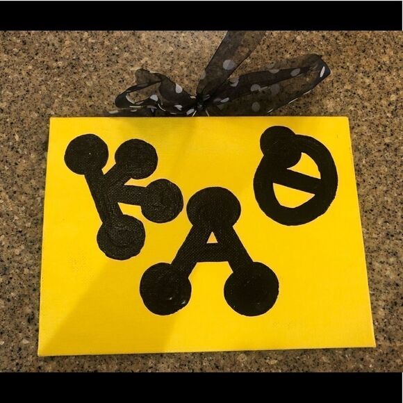 COPY - Kappa alpha theta sorority bundle - Picture 2 of 2